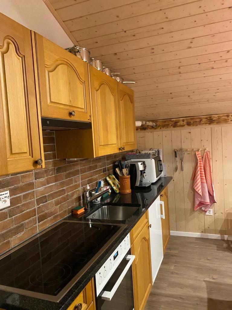 Chalet Baergstaeger Lauterbrunnen Exteriér fotografie